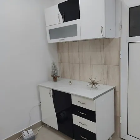 Aleksic U Samom Centru Grada Apartment *