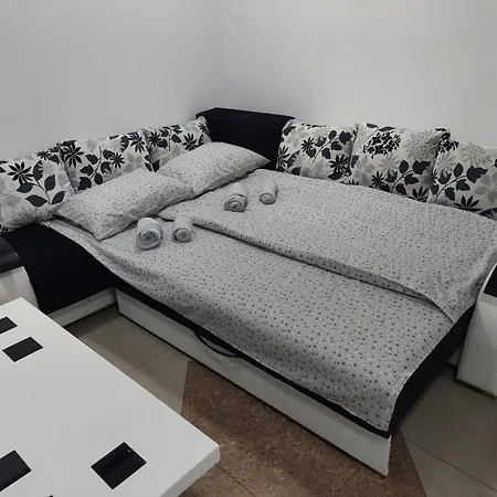 Aleksic U Samom Centru Grada Apartment Knjazevac