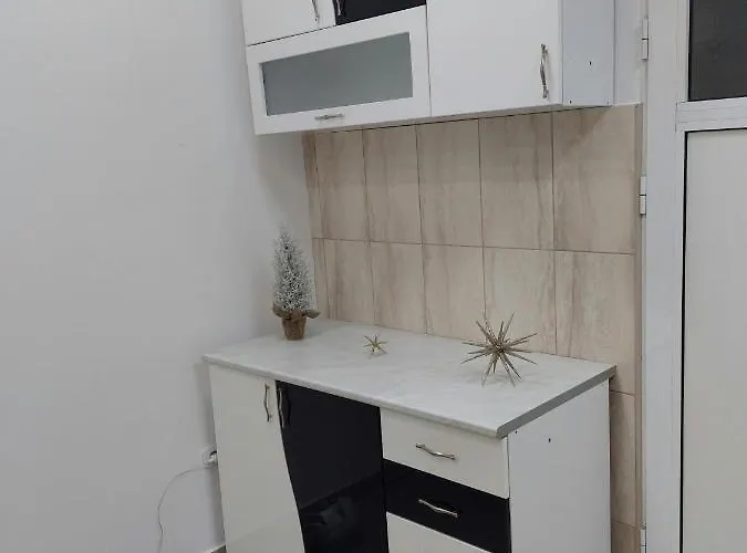 Aleksic U Samom Centru Grada Apartament *