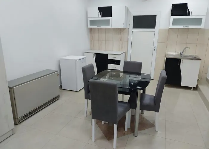 Aleksic U Samom Centru Grada Apartament Knjazevac